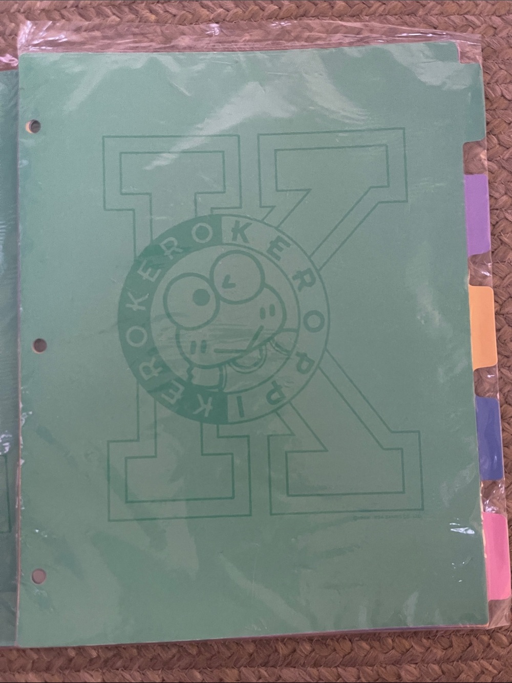 vintage 1990s Sanrio Keroppi file folder